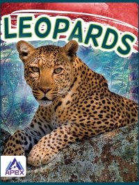 Imagen de portada: Leopards 1st edition 9781637380314