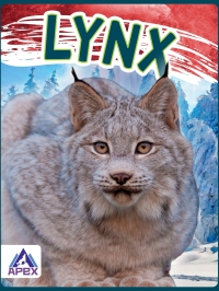 Imagen de portada: Lynx 1st edition 9781637380338
