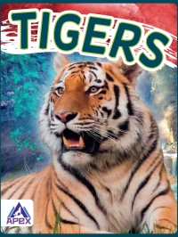 Cover image: Tigers 1st edition 9781637380352
