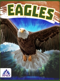 Cover image: Eagles 1st edition 9781637381410