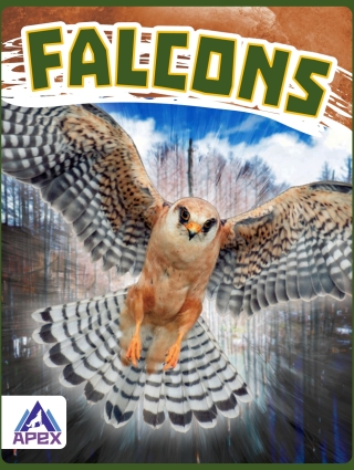 Imagen de portada: Falcons 1st edition 9781637381427