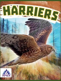 Imagen de portada: Harriers 1st edition 9781637381434