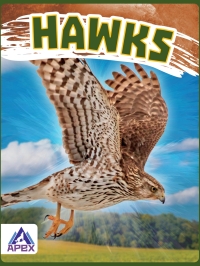 صورة الغلاف: Hawks 1st edition 9781637381441