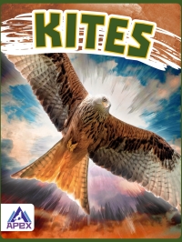 Cover image: Kites 1st edition 9781637381458