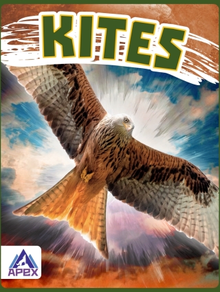 Imagen de portada: Kites 1st edition 9781637381458