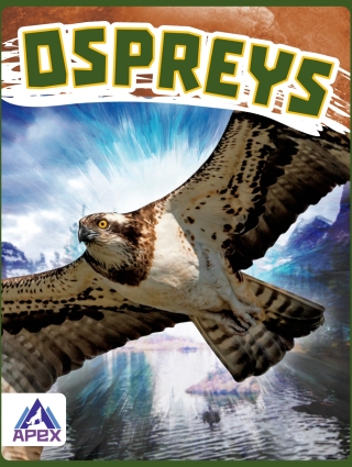 Immagine di copertina: Ospreys 1st edition 9781637381465