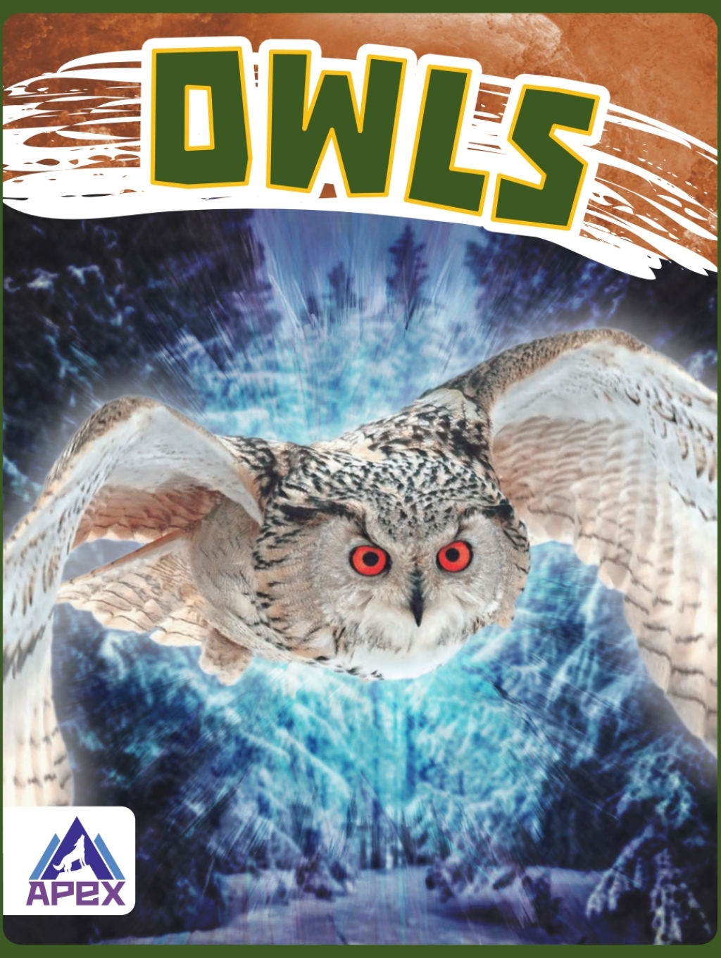 Owls 1st Edition