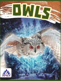 Cover image: Owls 1st edition 9781637381472