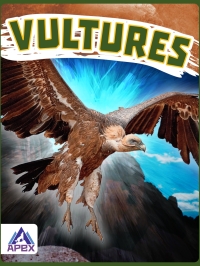 Titelbild: Vultures 1st edition 9781637381489