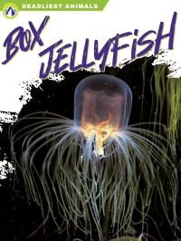 Cover image: Box Jellyfish 1st edition 9781637382813