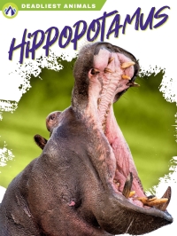 Imagen de portada: Hippopotamus 1st edition 9781637382844