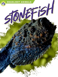 Omslagafbeelding: Stonefish 1st edition 9781637382875