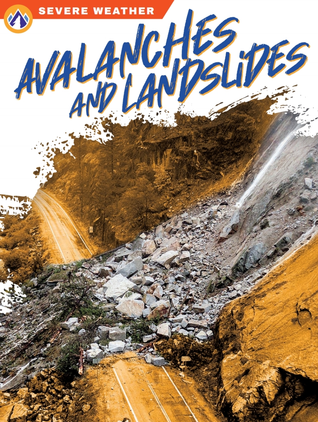 Avalanches and Landslides 1st Edition