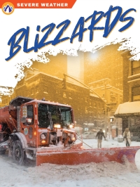 Cover image: Blizzards 1st edition 9781637383001