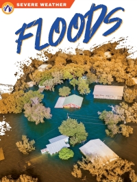 Cover image: Floods 1st edition 9781637383032
