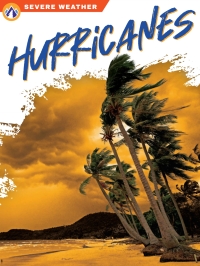 Cover image: Hurricanes 1st edition 9781637383049
