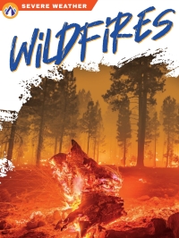 Cover image: Wildfires 1st edition 9781637383063