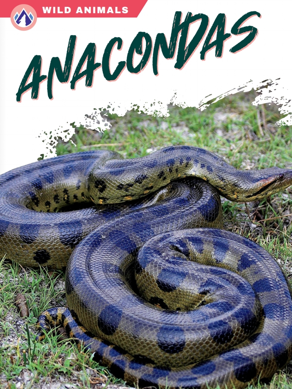 Anacondas 1st Edition