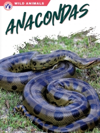 Cover image: Anacondas 1st edition 9781637384404
