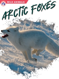 Cover image: Arctic Foxes 1st edition 9781637384411