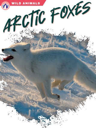 Imagen de portada: Arctic Foxes 1st edition 9781637384411