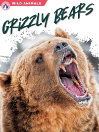 表紙画像: Grizzly Bears 1st edition 9781637384428