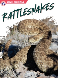 Cover image: Rattlesnakes 1st edition 9781637384435