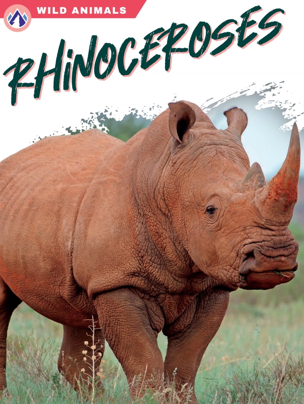 Rhinoceroses 1st Edition