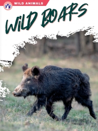 Omslagafbeelding: Wild Boars 1st edition 9781637384459