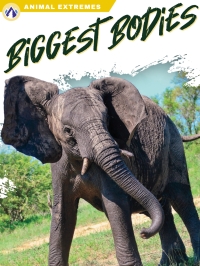Cover image: Biggest Bodies 1st edition 9781637385265