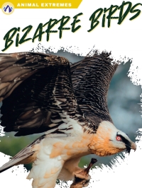 Titelbild: Bizarre Birds 1st edition 9781637385272