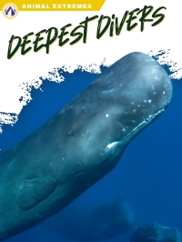 Cover image: Deepest Divers 1st edition 9781637385296