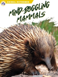 صورة الغلاف: Mind-Boggling Mammals 1st edition 9781637385319