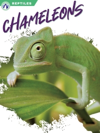 Titelbild: Chameleons 1st edition 9781637385432