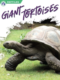 Imagen de portada: Giant Tortoises 1st edition 9781637385449