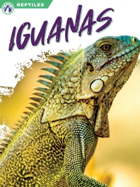 Titelbild: Iguanas 1st edition 9781637385463