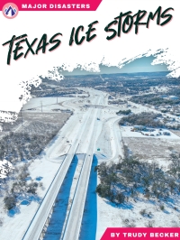Imagen de portada: Texas Ice Storms 1st edition 9781637387610