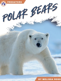 Imagen de portada: Polar Bears 1st edition 9781637387740