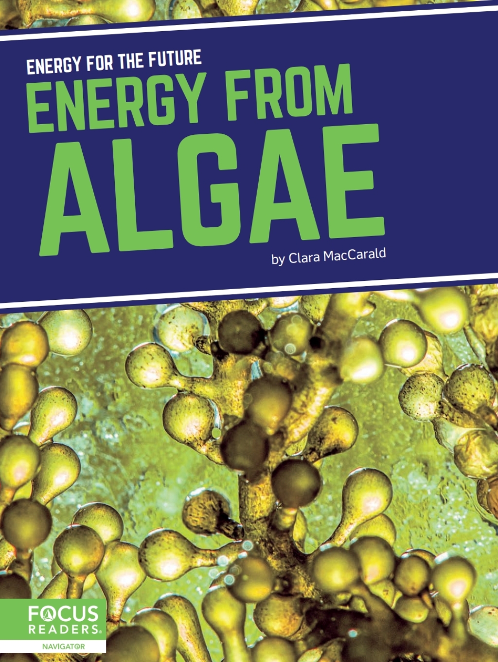 Energy from Algae 1st Edition