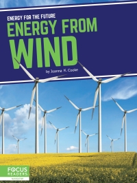 صورة الغلاف: Energy from Wind 1st edition 9781637390610