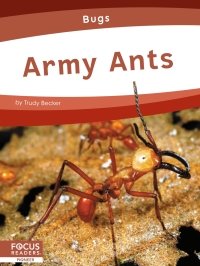 Titelbild: Army Ants 1st edition 9781637394472