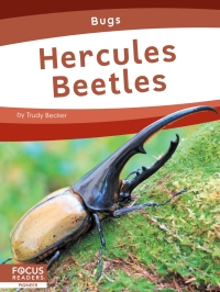 Cover image: Hercules Beetles 1st edition 9781637394519