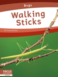 Immagine di copertina: Walking Sticks 1st edition 9781637394533