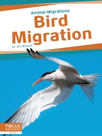 Omslagafbeelding: Bird Migration 1st edition 9781637396056