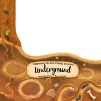 Cover image: Discovering the Secret World of Nature Underground 9781641241182