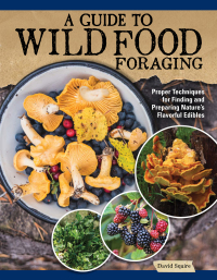 Cover image: A Guide to Wild Food Foraging 9781504801355