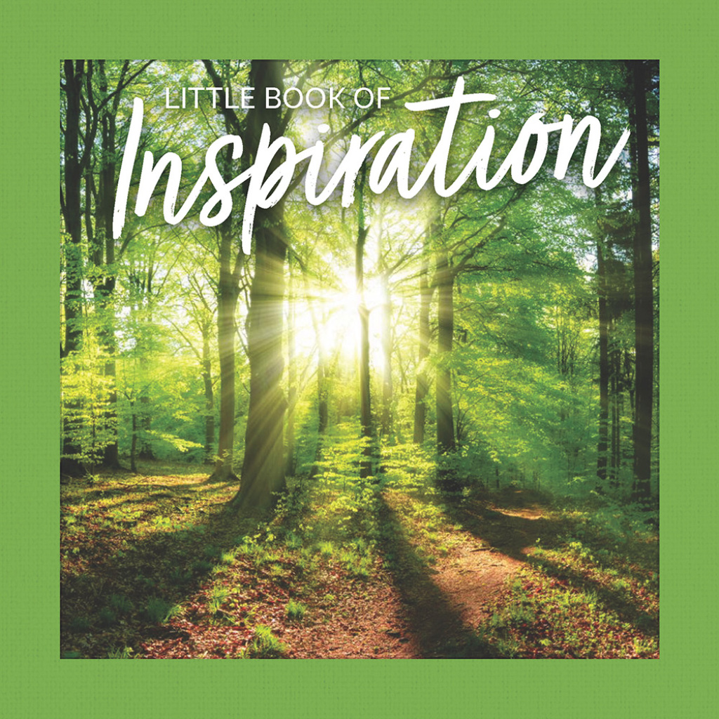 Little Book of Inspiration eBook
