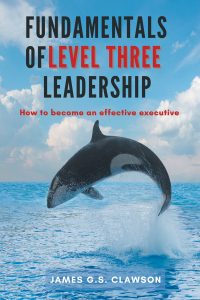 Titelbild: Fundamentals of Level Three Leadership 9781637420409