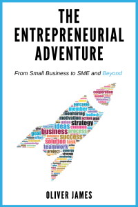 Imagen de portada: The Entrepreneurial Adventure 9781637422793