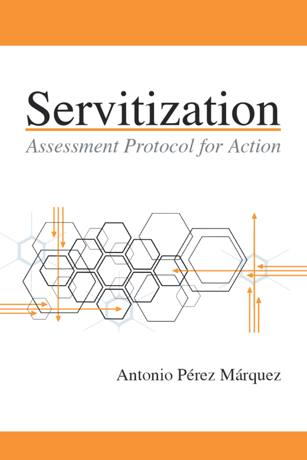 Servitization (eBook)